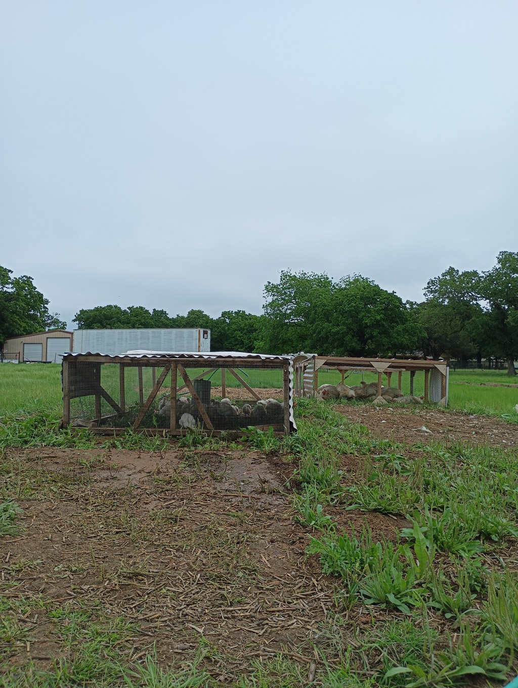 What’s In A&nbsp;Name